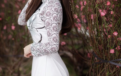 北京做三代试管哪家好（在北京做三代试管花多少钱）