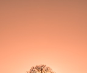 贵州贵阳有个三代试管（贵阳二代试管）